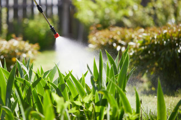 Tamper-Resistant Bait Stations for Rodents in Espy