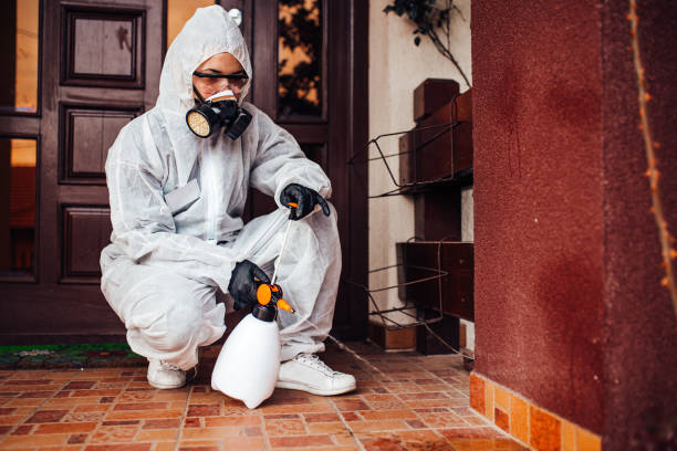 Attic and Crawl Space Rodent Treatment in Espy