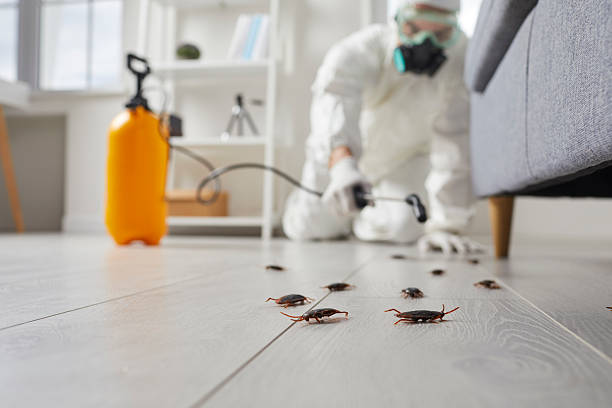 Commercial Rodent Management in Espy